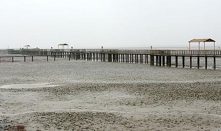 《夜莺传说》今日上线Steam，生存氛围感十足的SOC